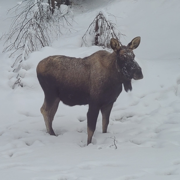 Meet your Posher, Cyndi - Picture 16 of 16